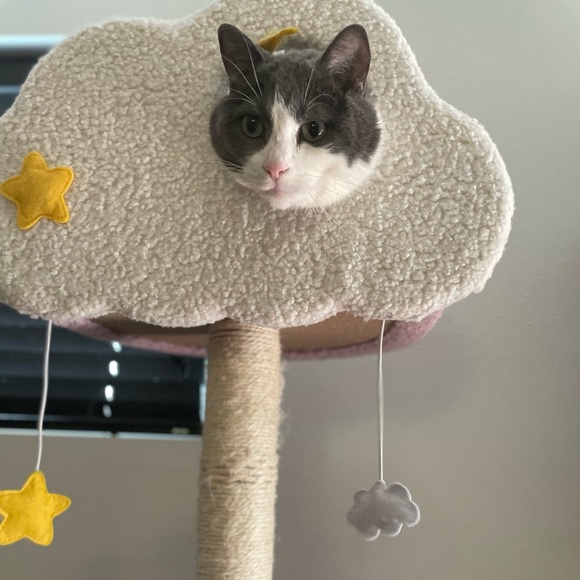 Meet your Posher, Andrea! ✨ - Picture 2 of 2